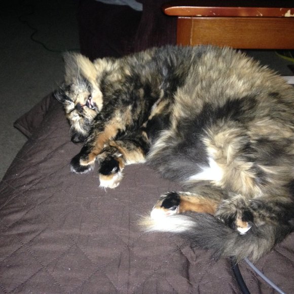 Meet your Posher, Truth - Picture 3 of 4